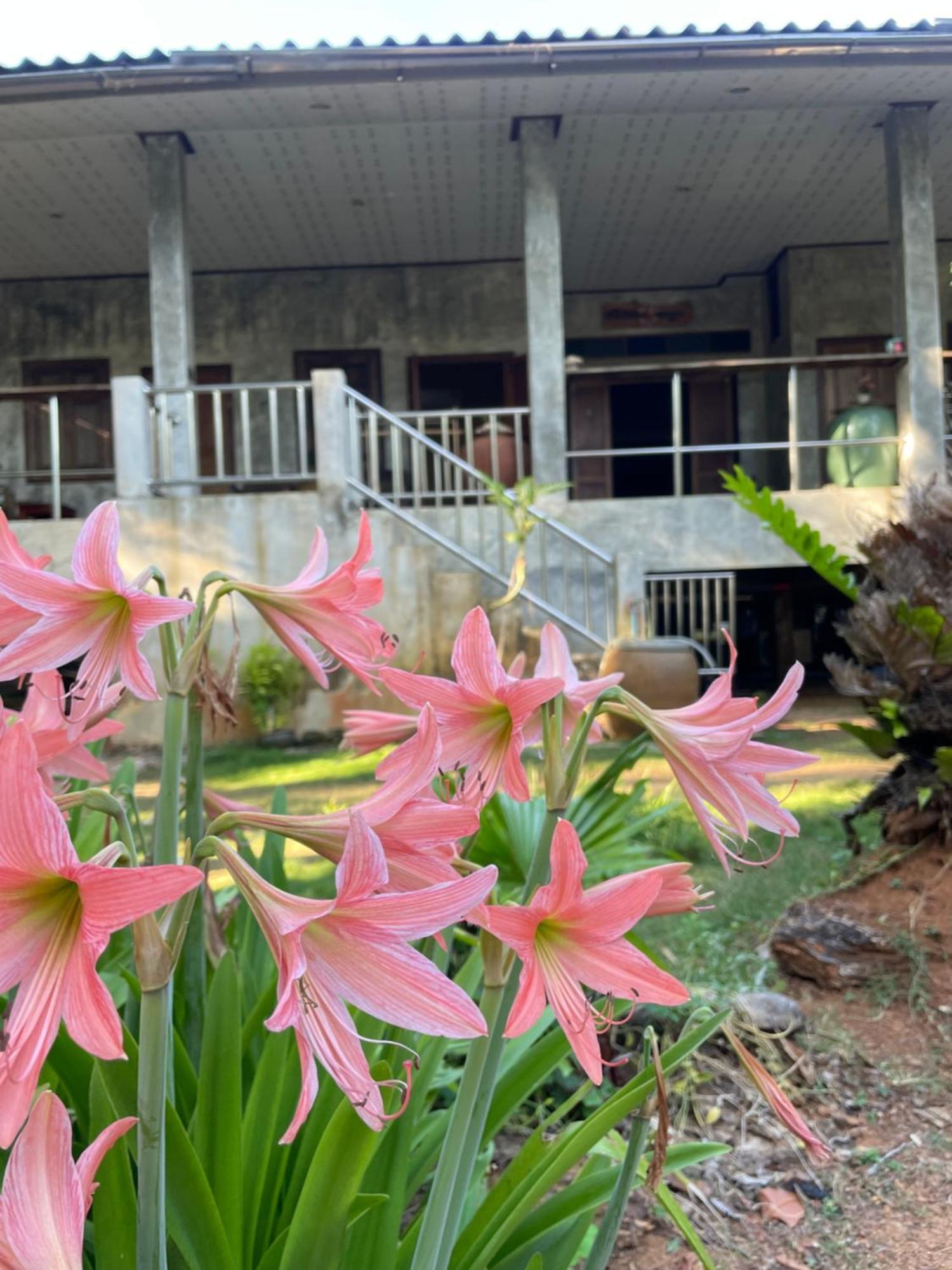 Baanyaiguesthouse Koh Mak Dış mekan fotoğraf