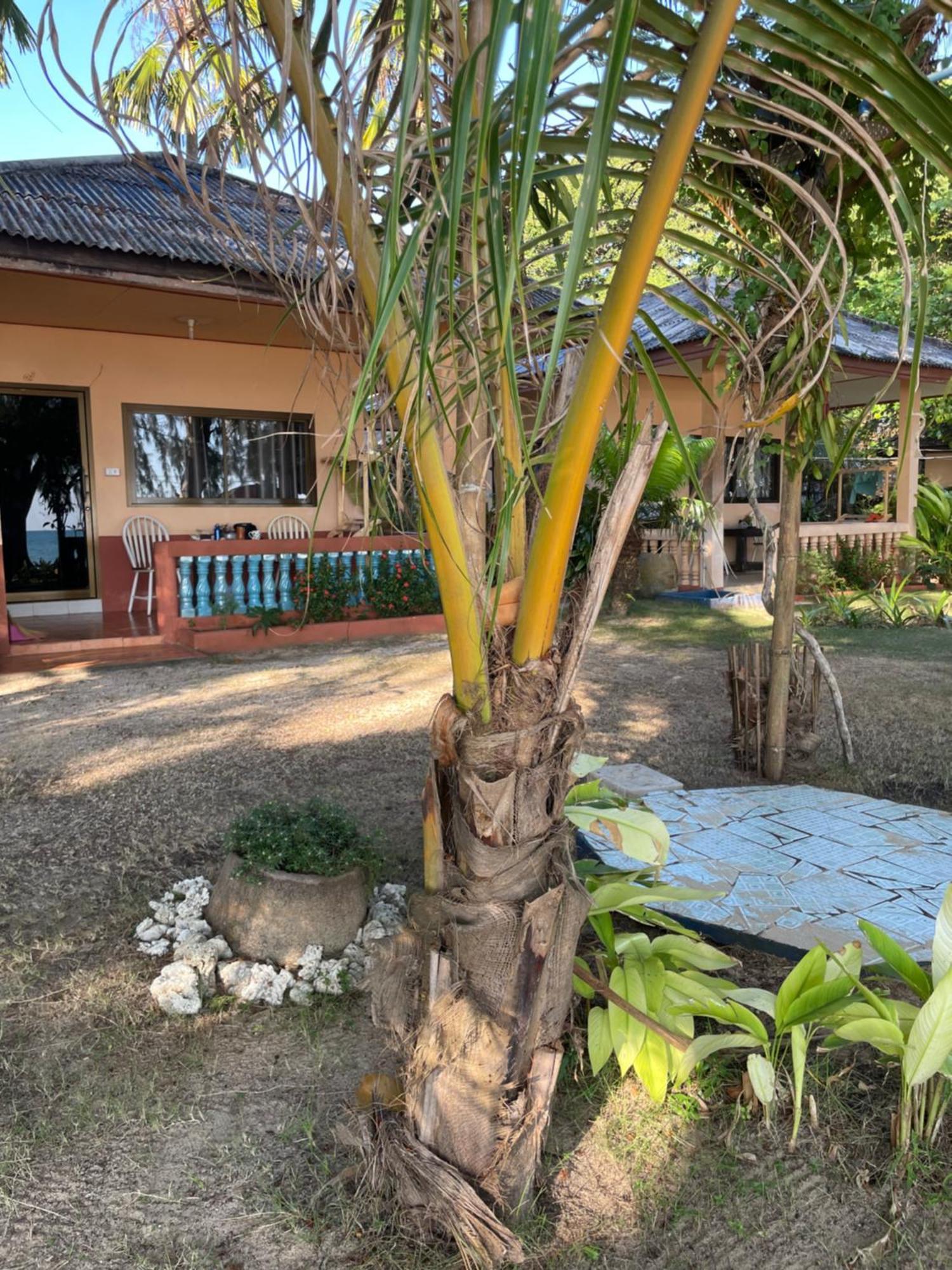 Baanyaiguesthouse Koh Mak Dış mekan fotoğraf