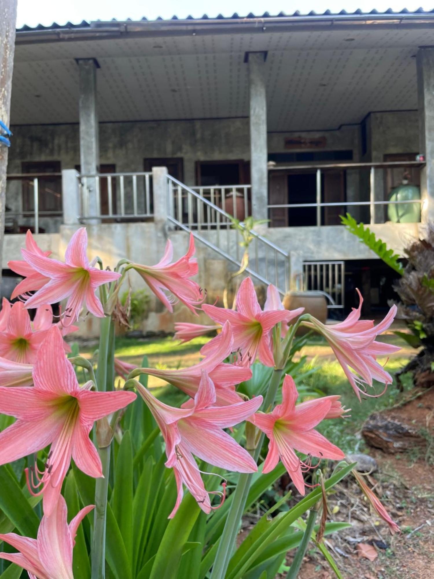 Baanyaiguesthouse Koh Mak Dış mekan fotoğraf