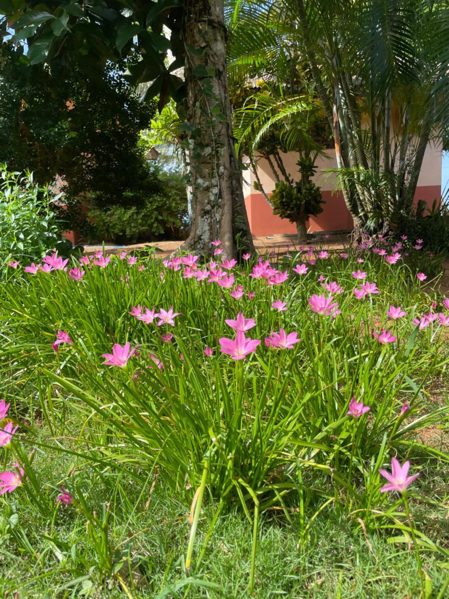 Baanyaiguesthouse Koh Mak Dış mekan fotoğraf